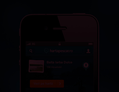 发手机号软件app